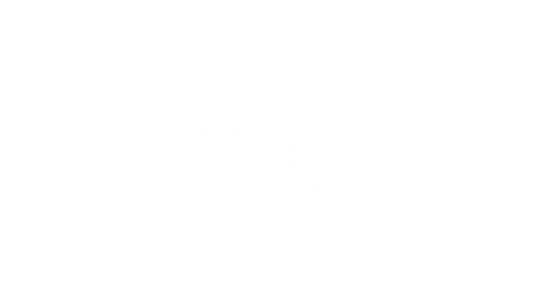 street terror cut vinyl